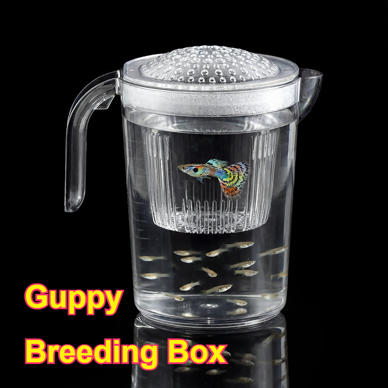 Aquarium Fish Delivery - Cangkir Pembiakan Ikan Kecil Guppy, Perlengkapan