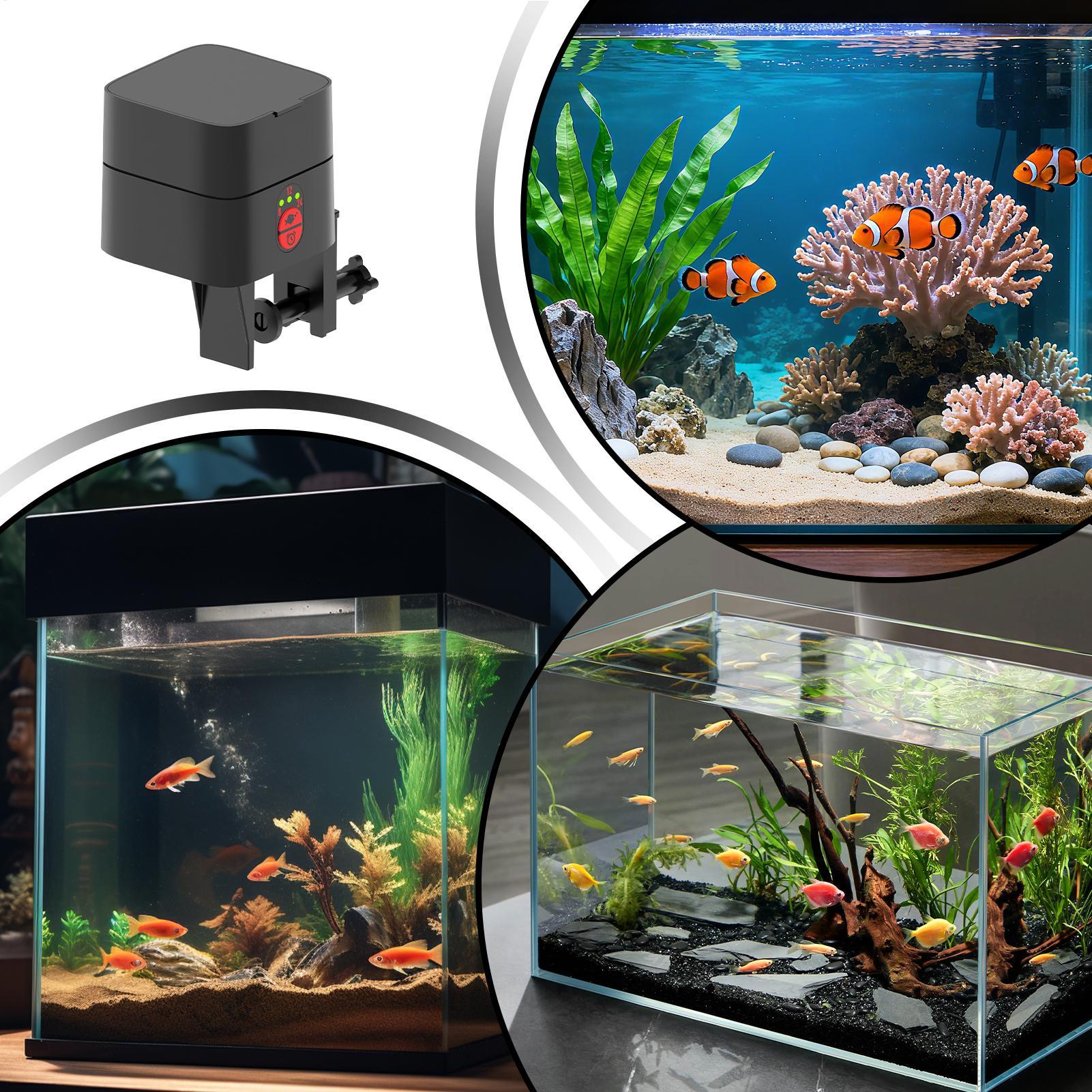 Aquarium Fish Auto Feeder - Pengumpan Ikan Otomatis, Stasiun Pemberian Makan