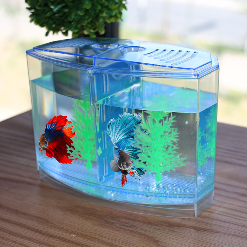 Aquarium Fish Keeping - Novel dan lucu mainan kreatif kotak