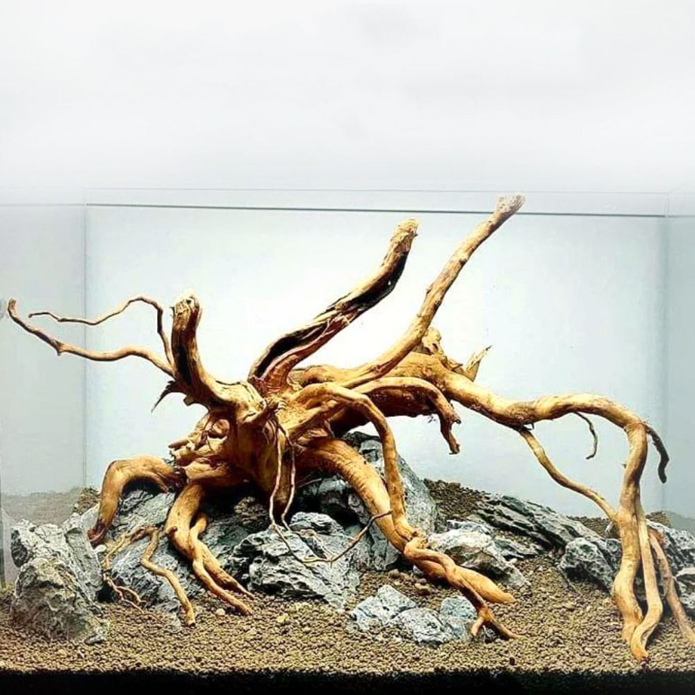 Aquarium Fish Enrichment - Pohon alami dekorasi akuarium kayu karya