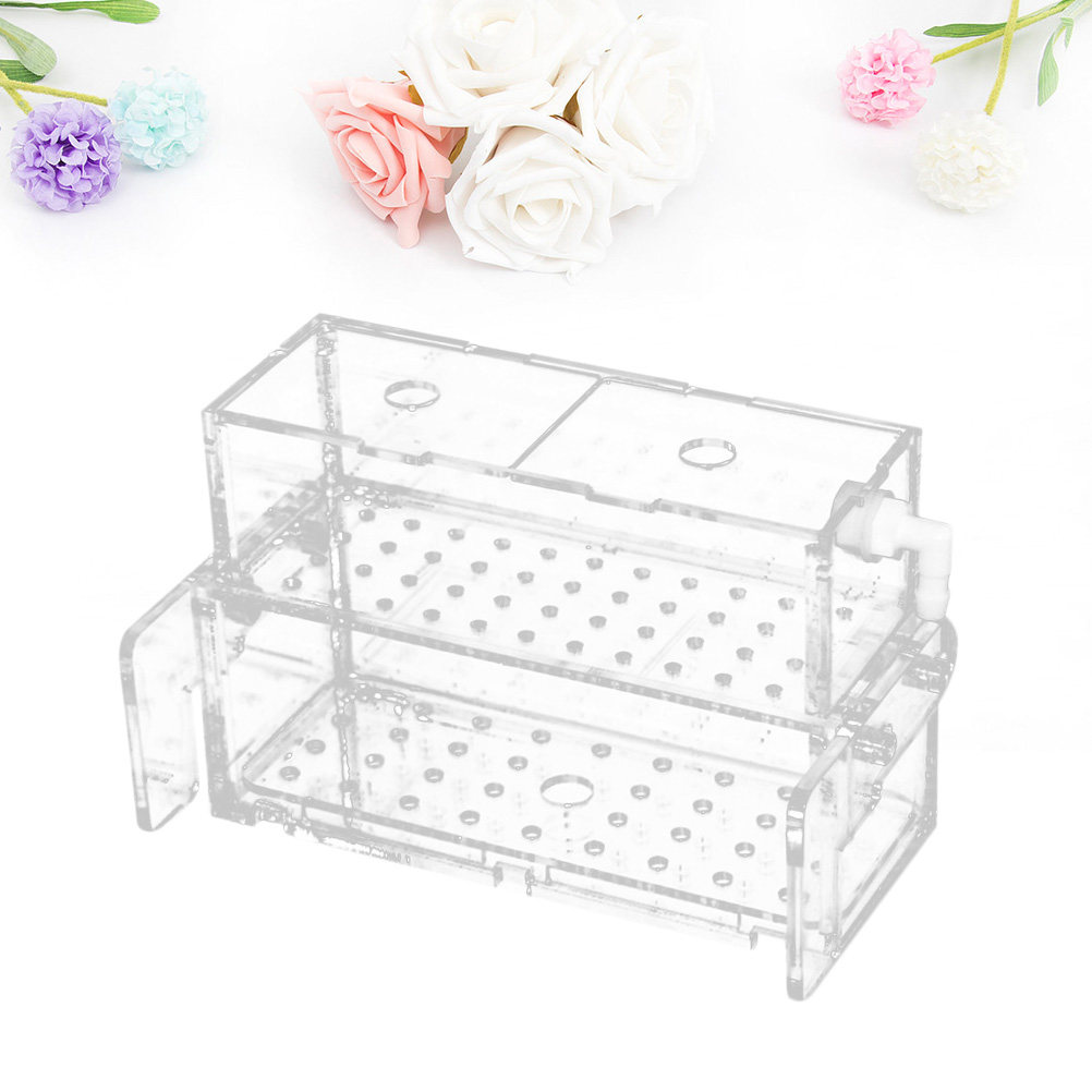 Kotak Filter Akuarium Berkuali - Aquarium Fish Keeping ulasan dan harga