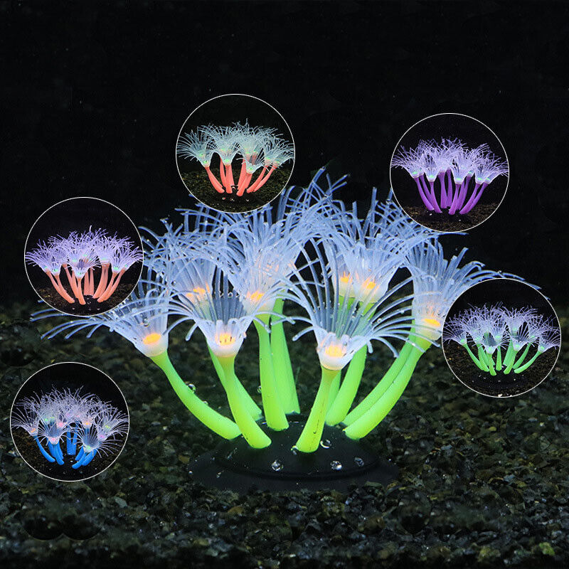 Silikon Bercahaya untuk Lanska - Aquarium Fish Enrichment ulasan dan harga