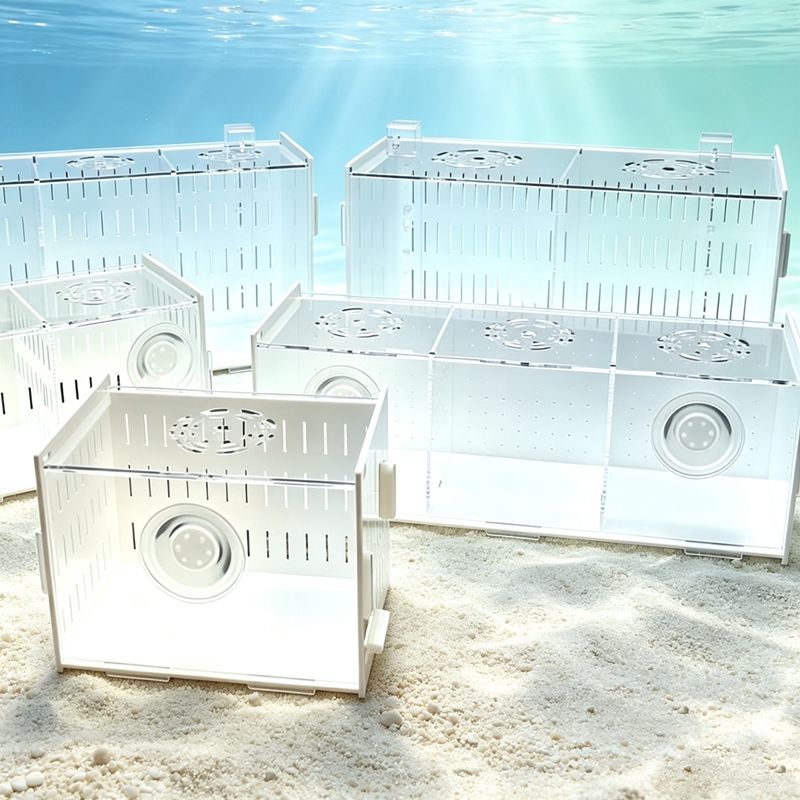 Pemisah Akuarium Isolasi denga - Aquarium Fish Parrot ulasan dan harga