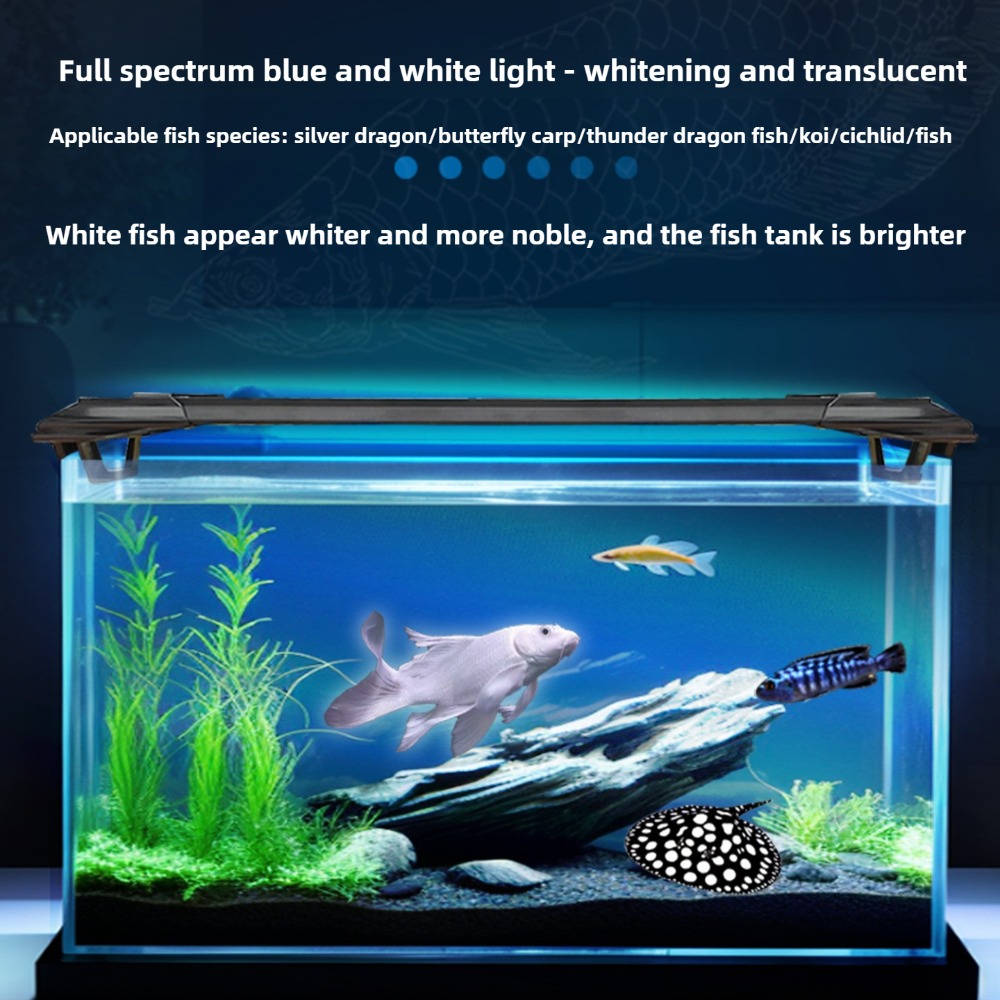 Lampu LED Akuarium 2ft/3ft/4ft - Aquarium Fish Parrot ulasan dan harga