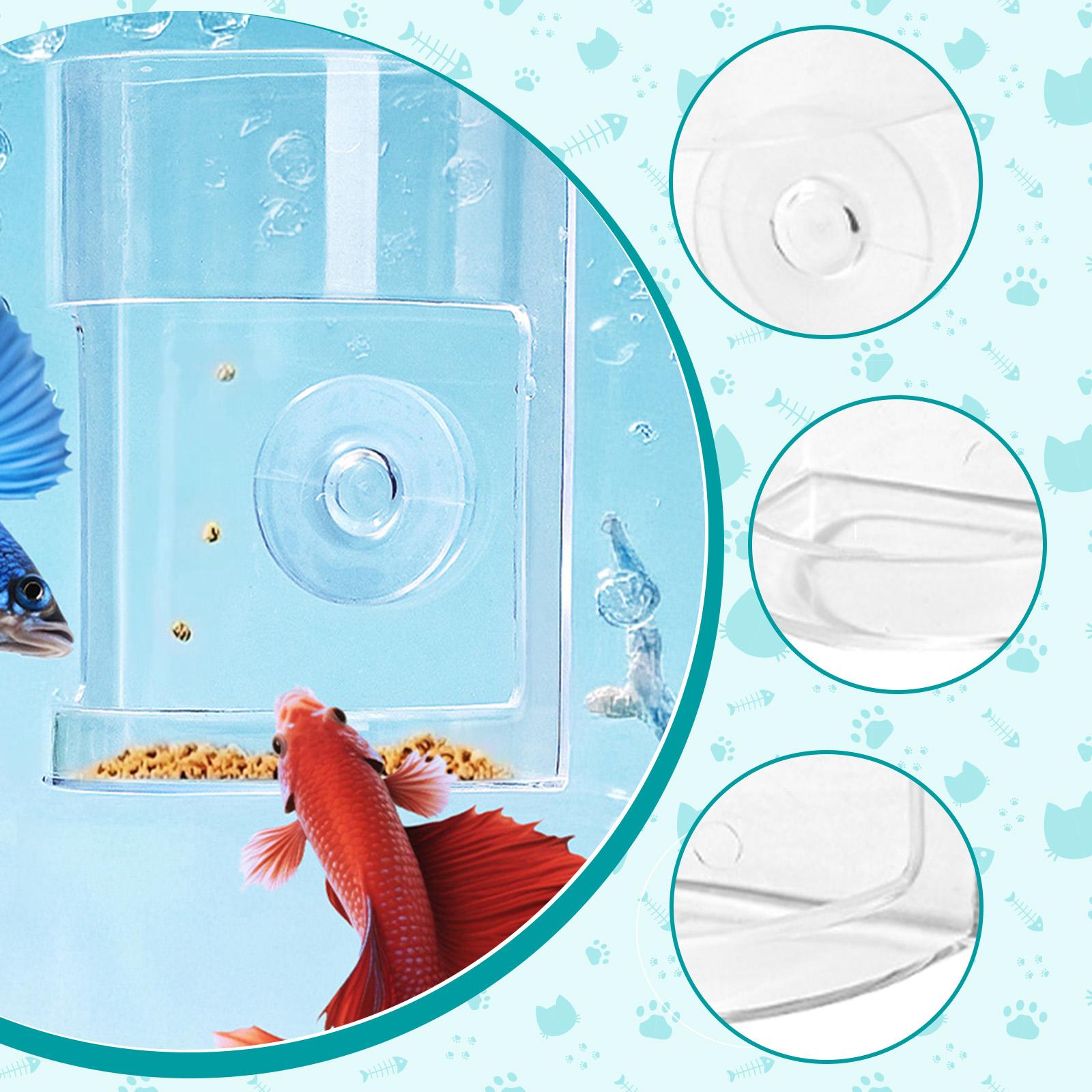 Pengumpan Ikan Akuarium, Cinci - Aquarium Fish Keeping ulasan dan harga