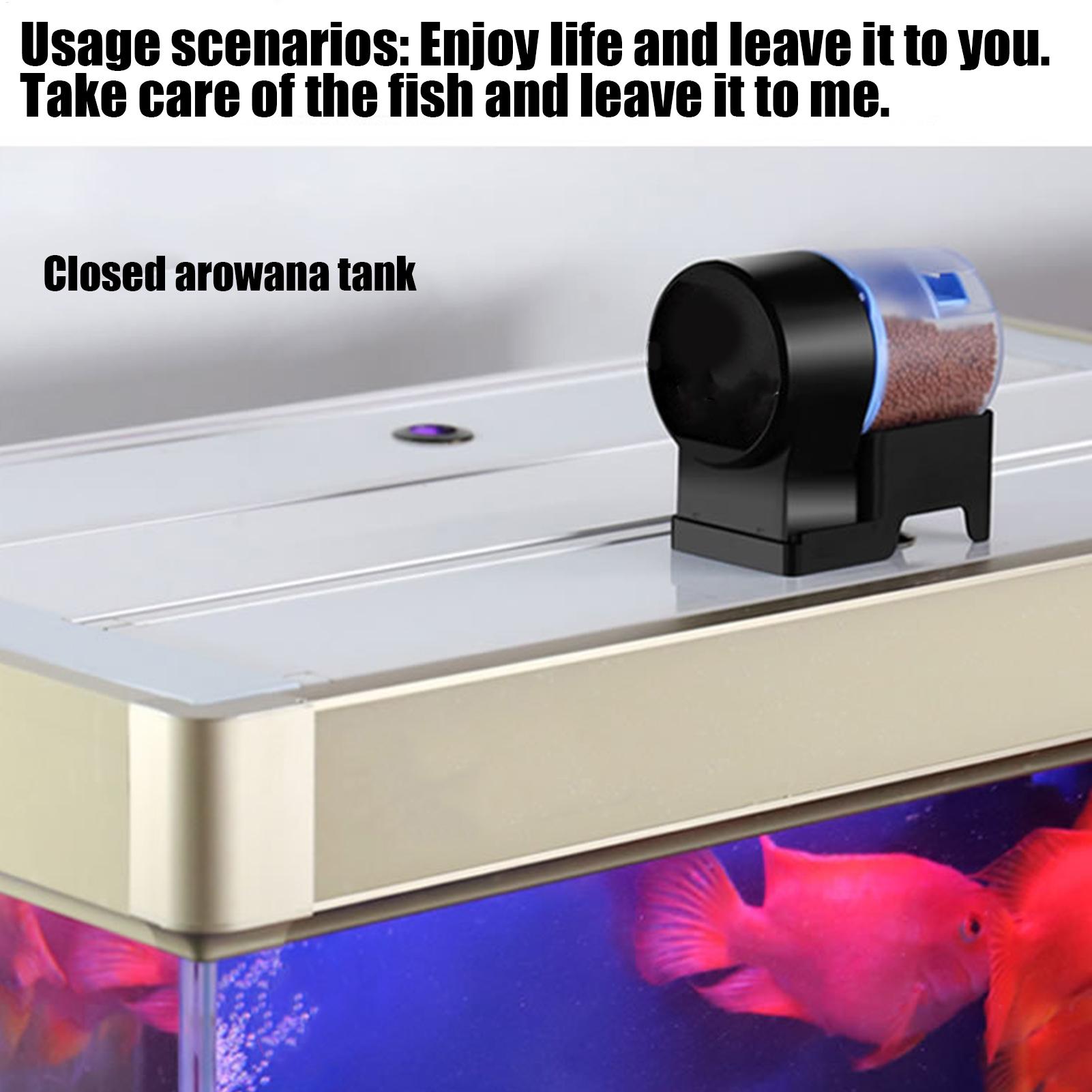 Pengumpan Ikan Otomatis, Dispe - Aquarium Fish Auto Feeder ulasan dan harga