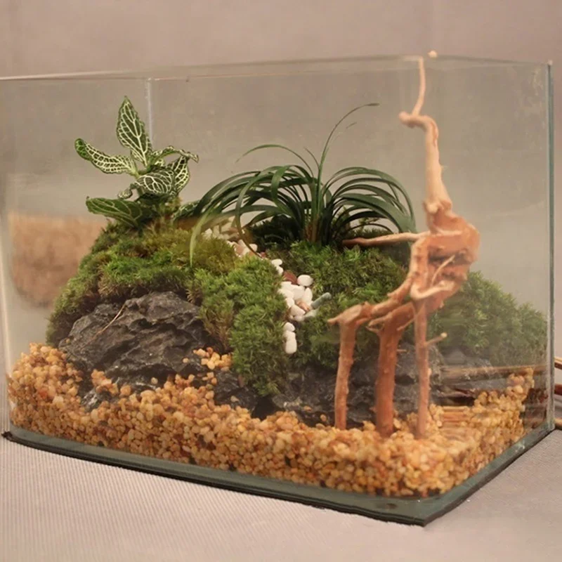 Pohon alami kayu apung akuariu - Aquarium Fish Enrichment ulasan dan harga