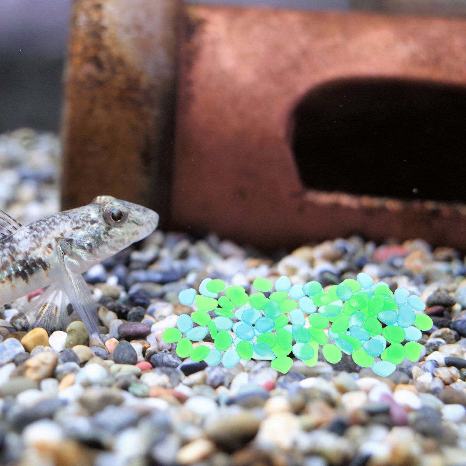 100 Buah Kerikil Bercahaya dal - Aquarium Decoration Rock ulasan dan harga