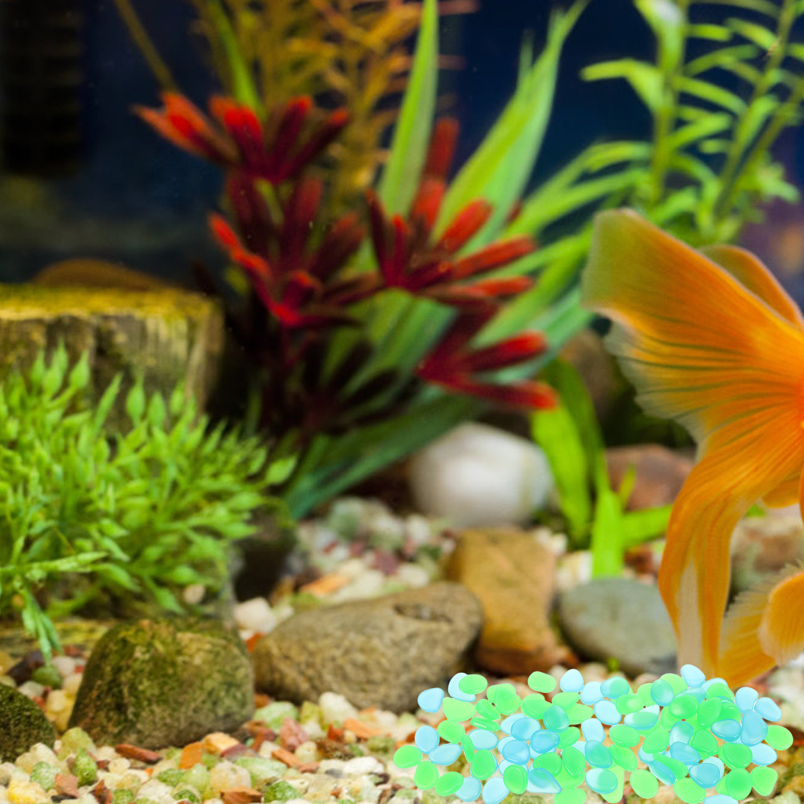 100 Buah Kerikil Bercahaya dal - Aquarium Decoration Rock ulasan dan harga
