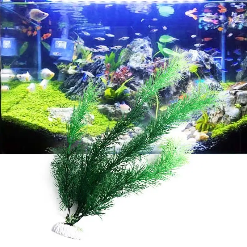 Tanaman Dekorasi Akuarium Buat - Aquarium Fish Enrichment ulasan dan harga