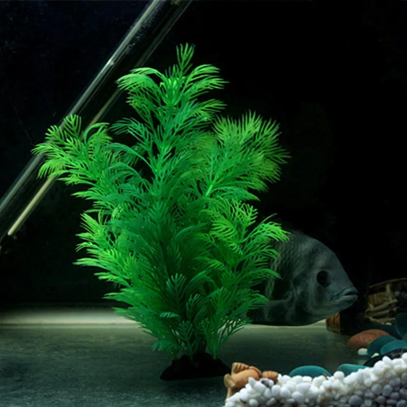 Tanaman Dekorasi Akuarium Buat - Aquarium Fish Enrichment ulasan dan harga