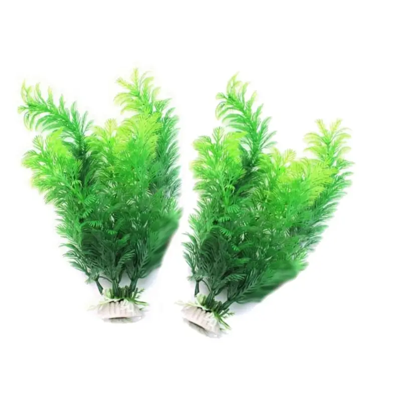 Tanaman Dekorasi Akuarium Buat - Aquarium Fish Enrichment ulasan dan harga