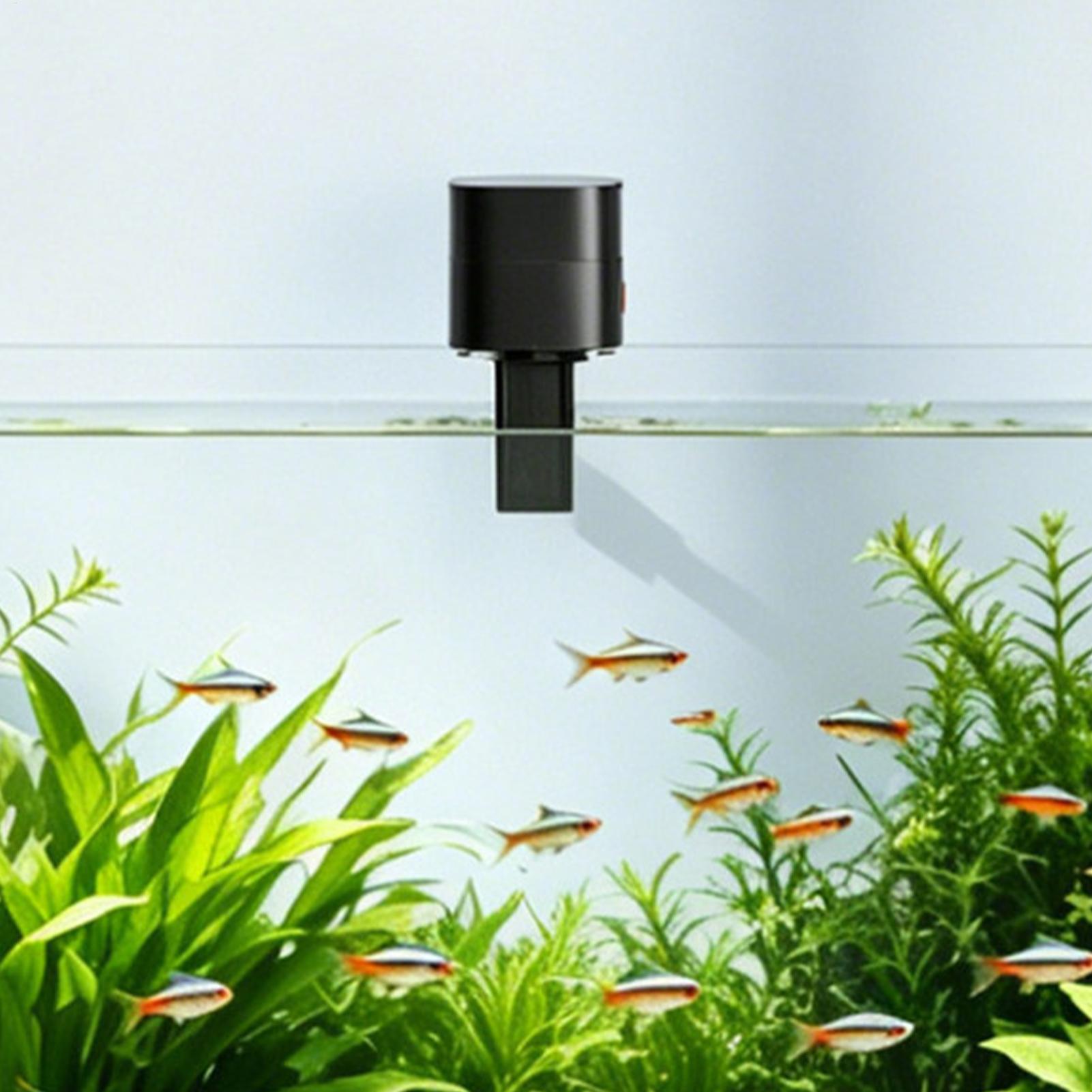 Pengumpan Ikan Otomatis, Stasi - Aquarium Fish Auto Feeder ulasan dan harga