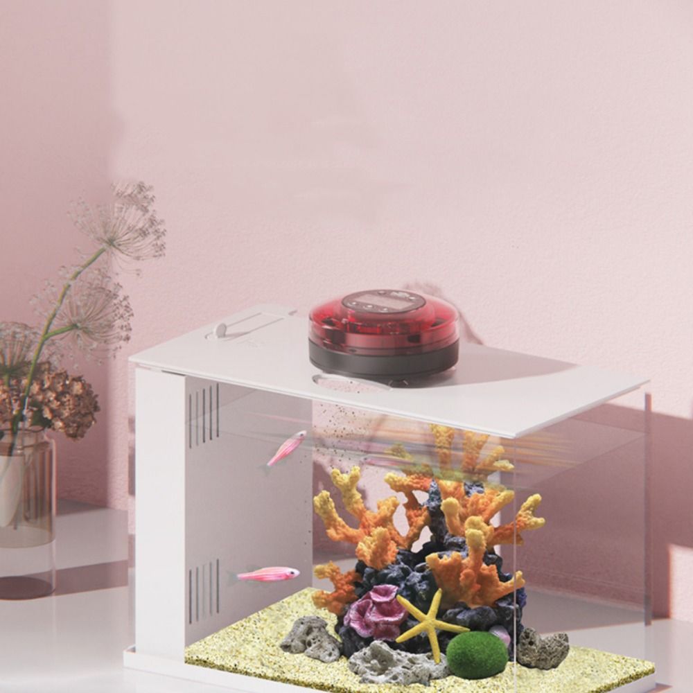 dengan Timer Fish Auto Feeder  - Aquarium Fish Auto Feeder ulasan dan harga