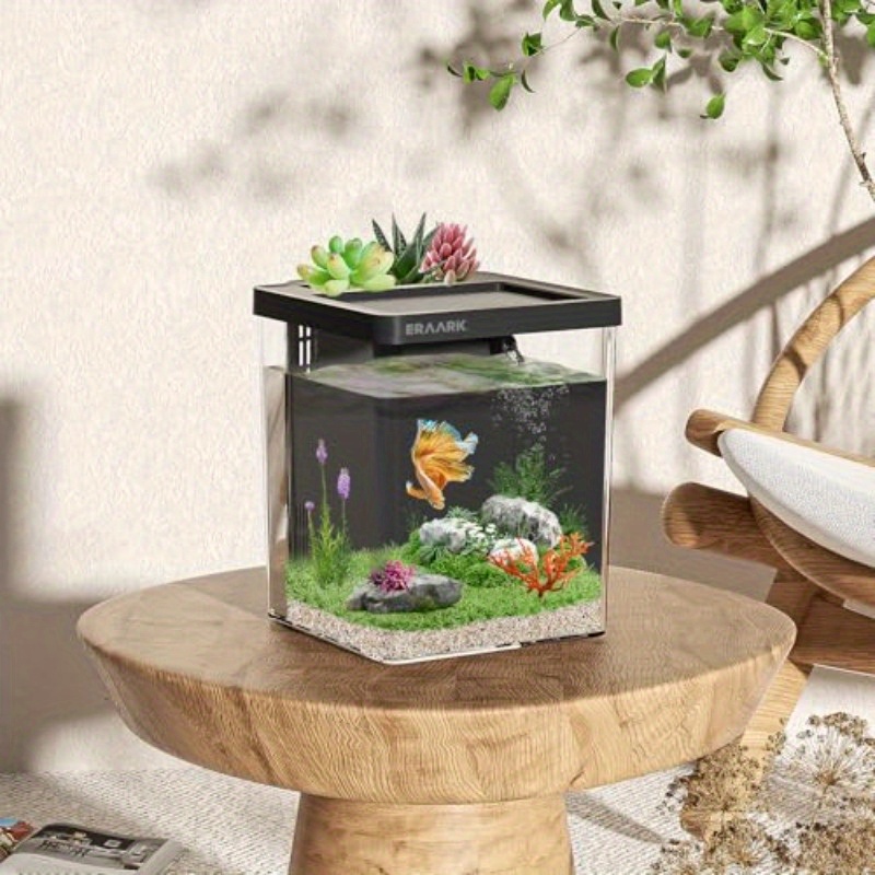 Akuarium Meja Kantor/Rumah Den - Aquarium Fish Keeping ulasan dan harga