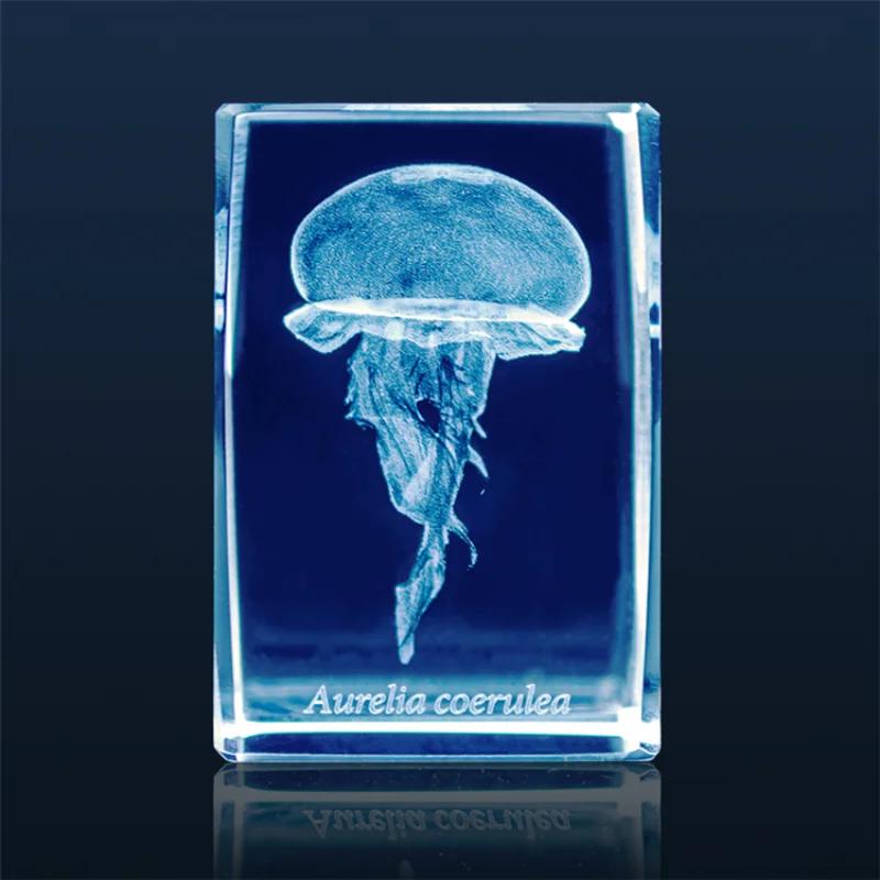 Jepang Gashapon ubur-ubur 3D k - Aquarium Fish Keeping ulasan dan harga