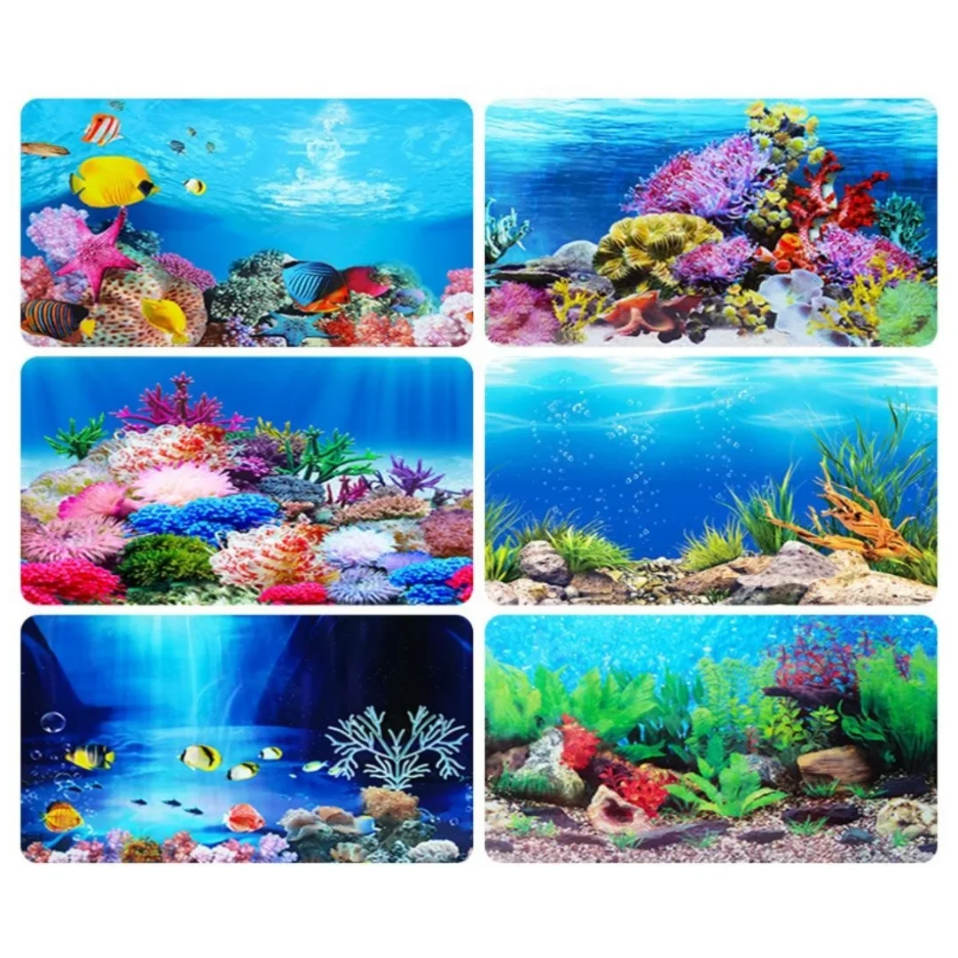 Latar belakang akuarium 3D sti - Aquarium Fish Enrichment ulasan dan harga