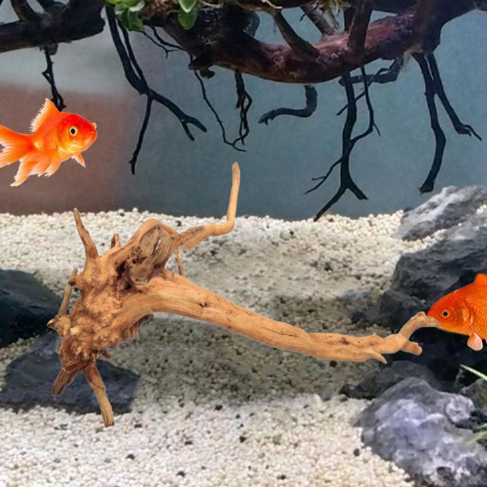 Pohon alami dekorasi akuarium  - Aquarium Fish Enrichment ulasan dan harga