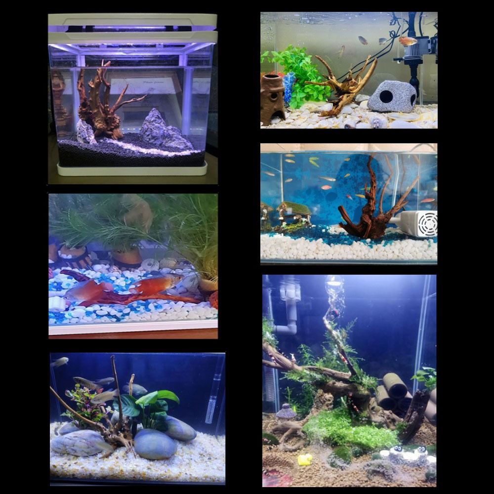 Pohon alami dekorasi akuarium  - Aquarium Fish Enrichment ulasan dan harga
