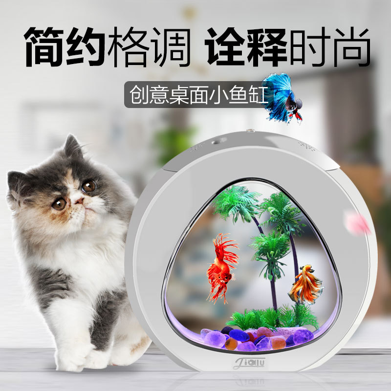 Akuarium meja kreatif Jialu, a - Aquarium Fish Delivery ulasan dan harga