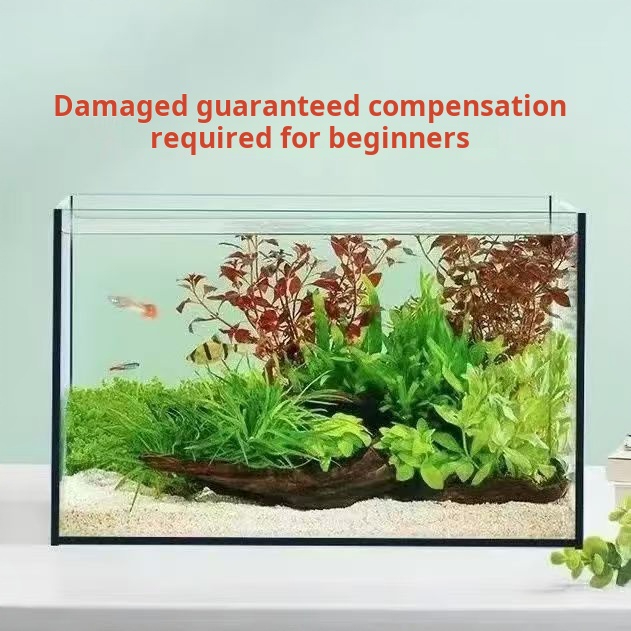 Akuarium Kaca Persegi Panjang  - Aquarium Fish Keeping ulasan dan harga