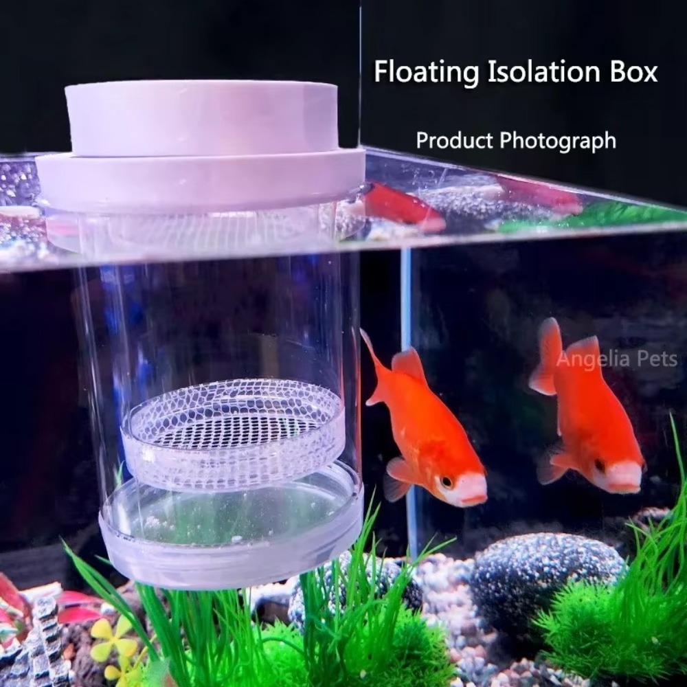 Kotak Isolasi Pembiakan Ikan M - Aquarium Fish Auto Feeder ulasan dan harga