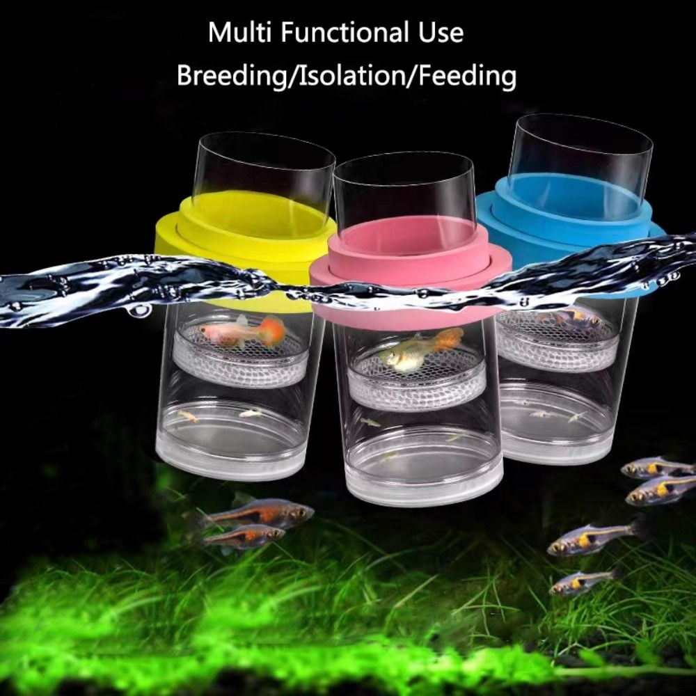 Kotak Isolasi Pembiakan Ikan M - Aquarium Fish Auto Feeder ulasan dan harga