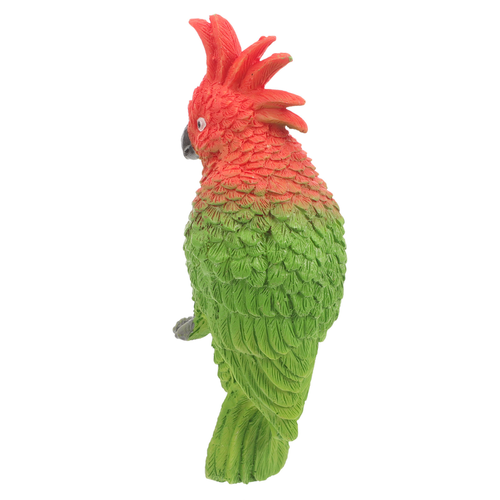 Akuarium Burung Beo Mini Gantu - Aquarium Fish Parrot ulasan dan harga