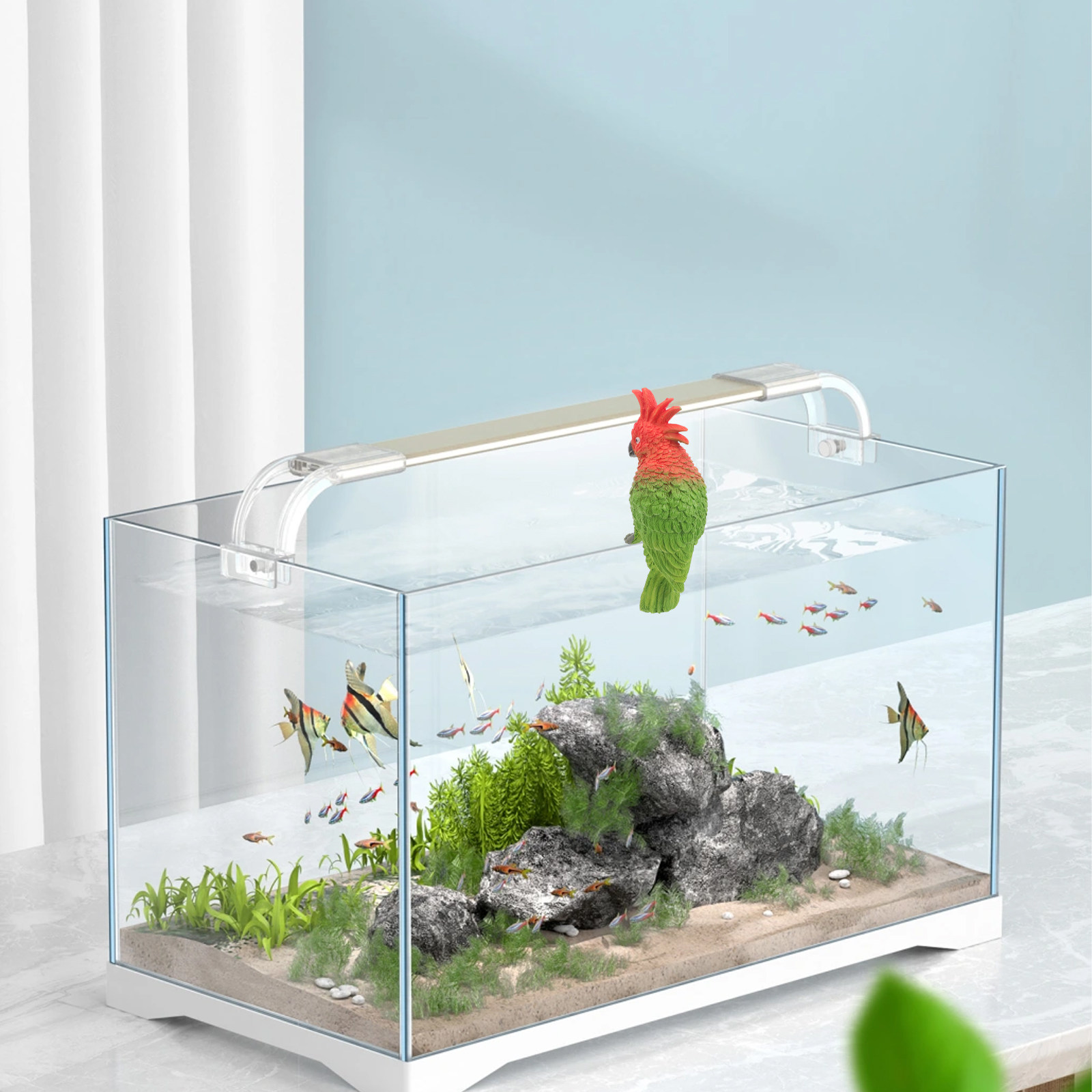 Akuarium Burung Beo Mini Gantu - Aquarium Fish Parrot ulasan dan harga