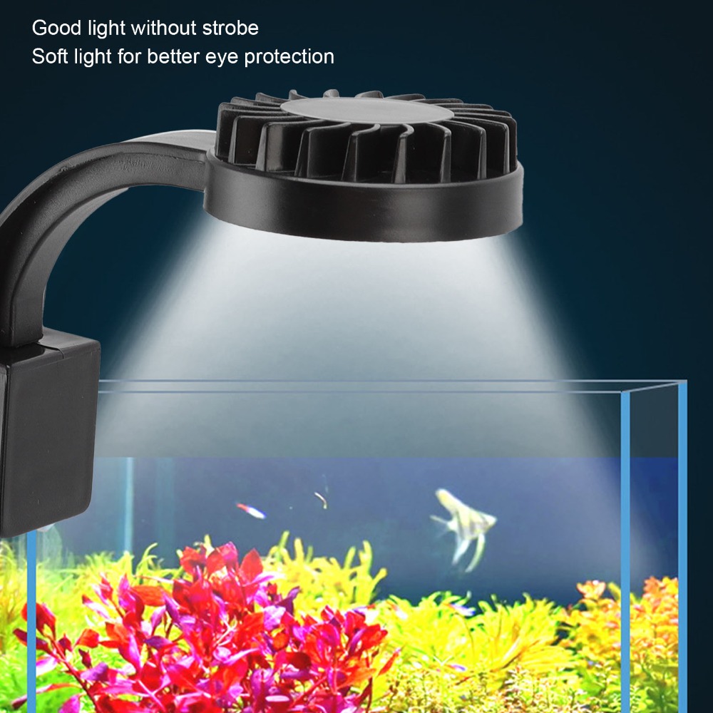 Lampu LED Akuarium Kecerahan T - Aquarium Fish Keeping ulasan dan harga