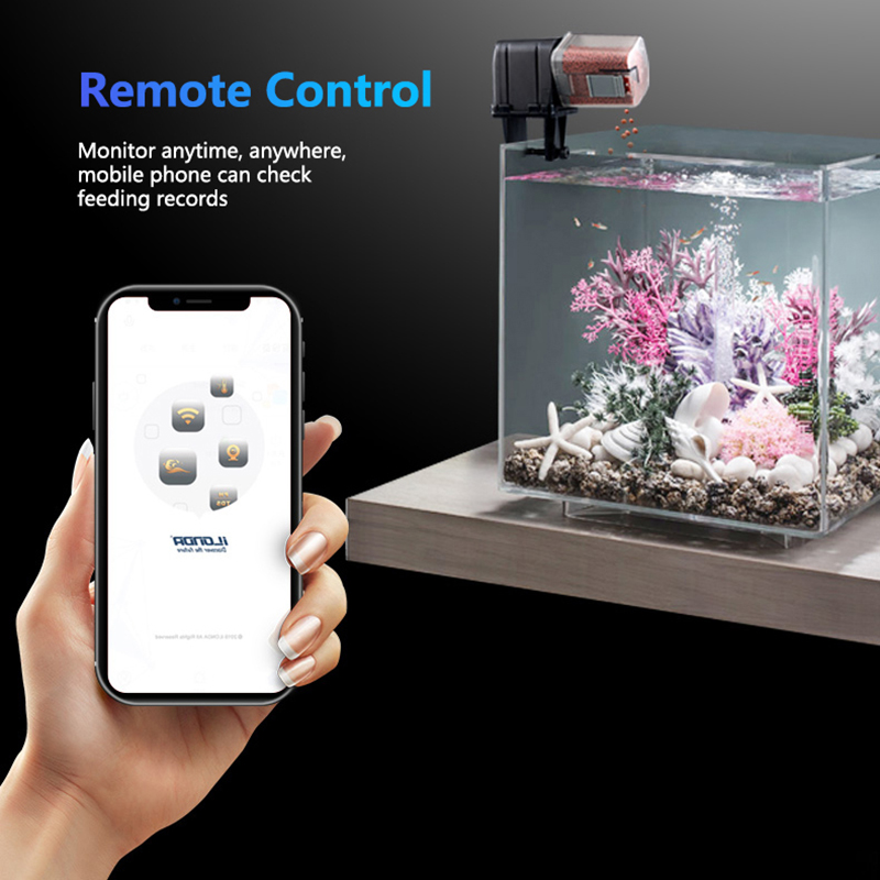 Pengumpan Ikan WiFi Pintar Rem - Aquarium Fish Auto Feeder ulasan dan harga