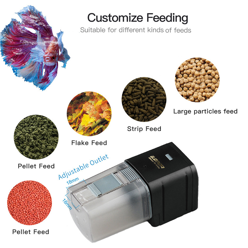 Pengumpan Ikan WiFi Pintar Rem - Aquarium Fish Auto Feeder ulasan dan harga