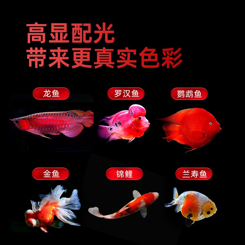 Lampu Akuarium LED Tiga Warna  - Aquarium Fish Parrot ulasan dan harga