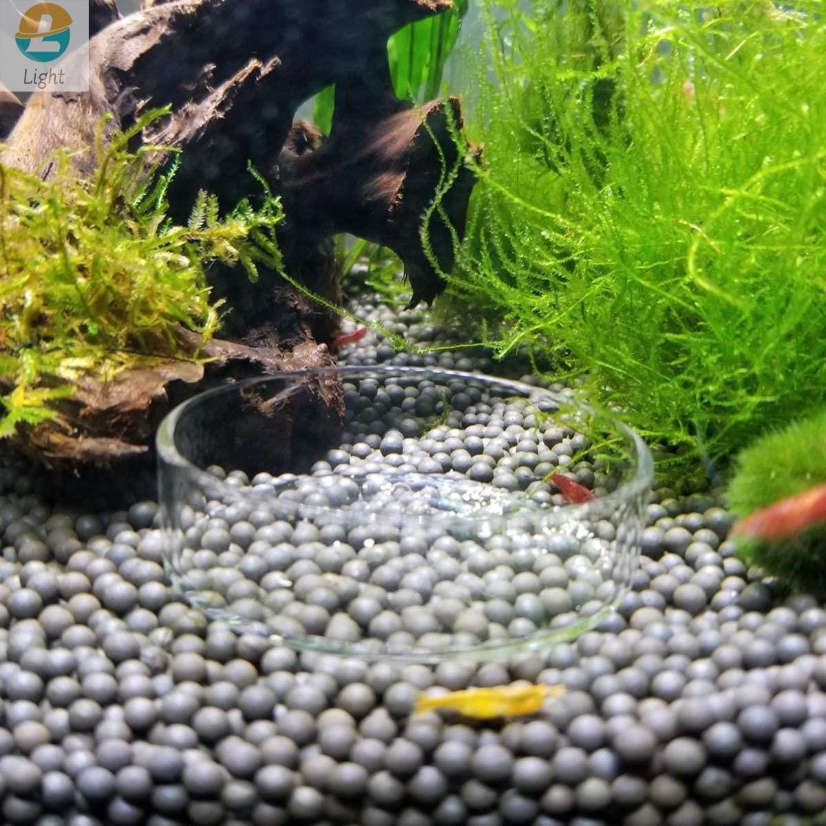 Mangkuk Pengumpan Akuarium Pir - Aquarium Fish Keeping ulasan dan harga