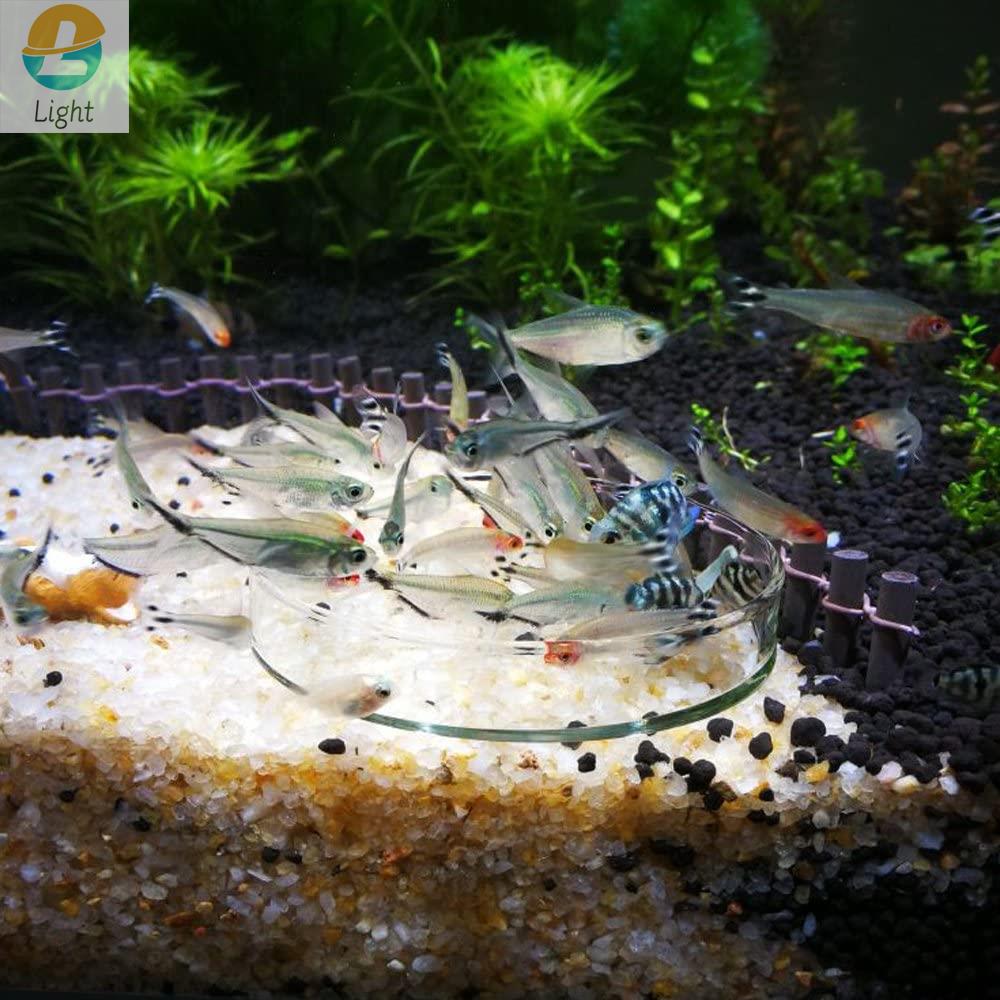 Mangkuk Pengumpan Akuarium Pir - Aquarium Fish Keeping ulasan dan harga