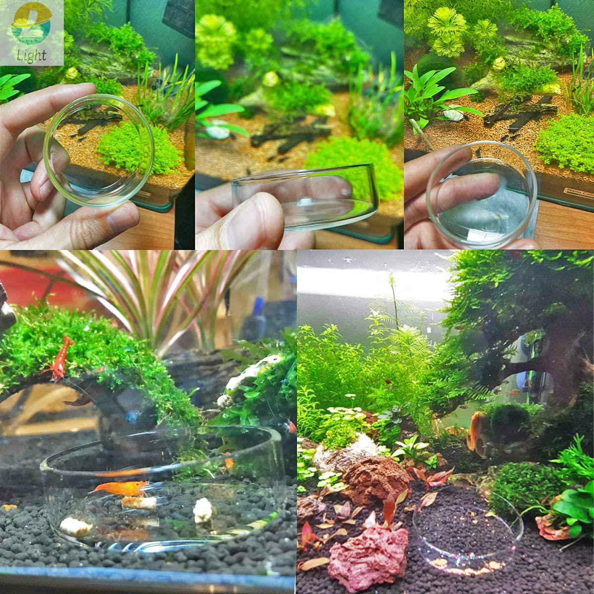 Mangkuk Pengumpan Akuarium Pir - Aquarium Fish Keeping ulasan dan harga