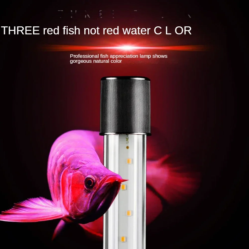 Lampu Arwana, Lampu Lanskap Ak - Aquarium Fish Parrot ulasan dan harga